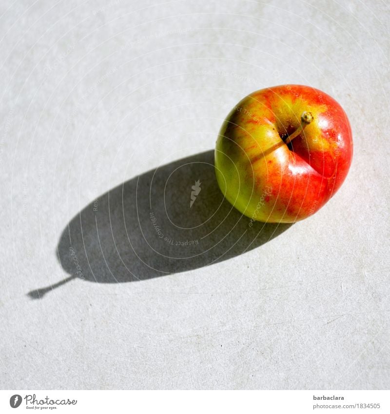 From the tree to the table Fruit Apple Nutrition Organic produce Table Autumn Fresh Healthy Delicious Red Colour To enjoy Nature Colour photo Exterior shot