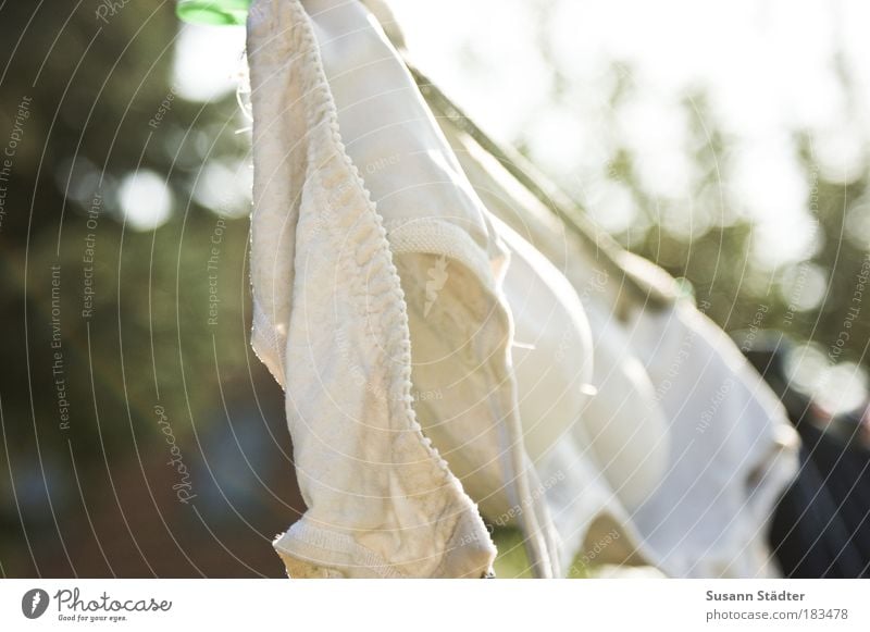 Grandma's Secret II Cloth Hang Bra White Laundry Dry Clothesline bh-carrier Underwear Multicoloured Exterior shot Close-up Detail Washing Washing day