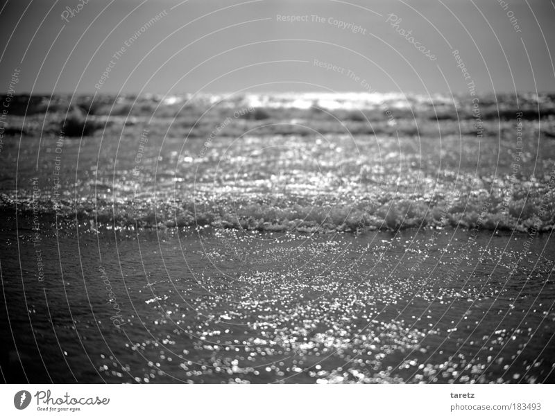 glittering sea Water Cloudless sky Sunlight Summer Beautiful weather Waves Coast Ocean Atlantic Ocean Wet Loneliness Far-off places Horizon Vignetting Calm