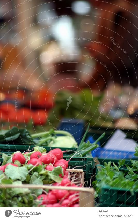 market cry Colour photo Exterior shot Day Central perspective Food Vegetable Nutrition Organic produce Vegetarian diet Healthy Life Quality Markets Market stall