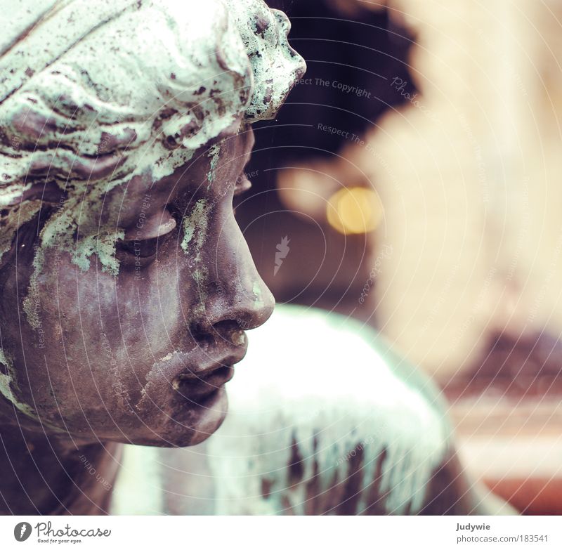 Bronze beauty Colour photo Subdued colour Exterior shot Copy Space right Day Twilight Shallow depth of field Portrait photograph Profile Beautiful Sightseeing