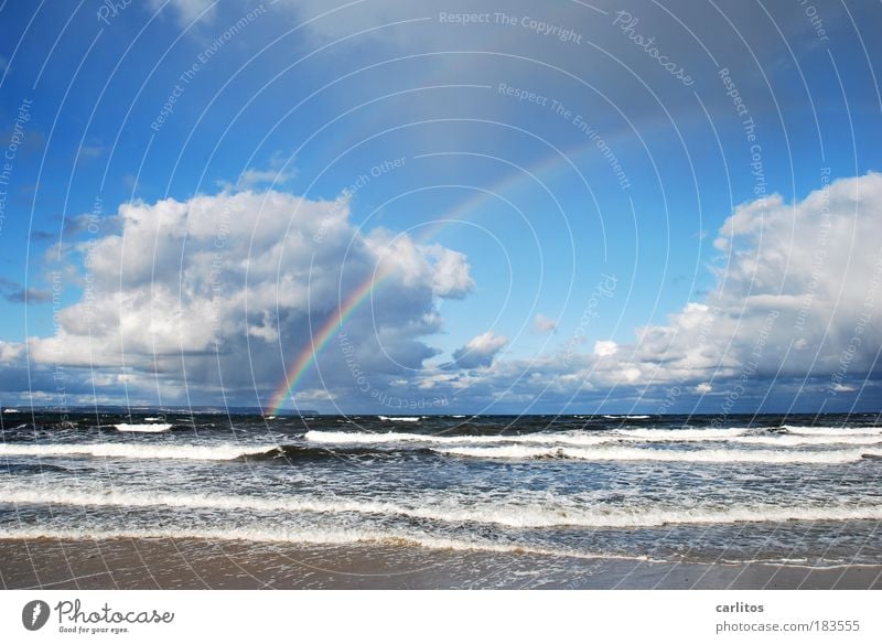 You can't have it all .... Colour photo Exterior shot Deserted Day Light (Natural Phenomenon) Deep depth of field Wide angle Relaxation Calm Beach Ocean Waves