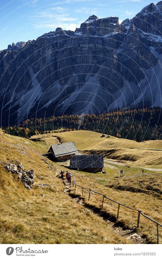 Hiking in Villnöss 6 Mountain Environment Nature Landscape Autumn Hill Rock Alps Peak Snowcapped peak South Tyrol villnöss Dolomites hiking trail Footpath Old