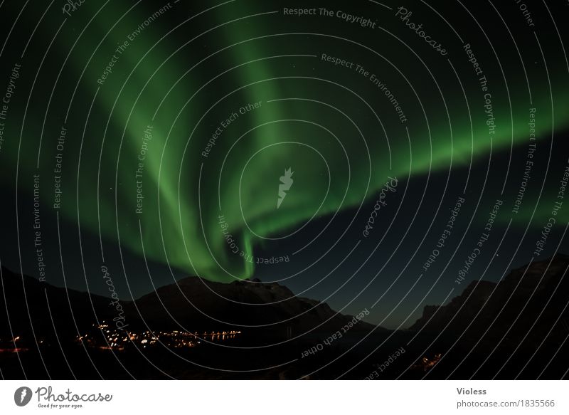 northern lights II Nature Sky Clouds Night sky Horizon Autumn Aurora Borealis Fjord Movement Exceptional Infinity Humble Mysterious Surrealism Light Shadow