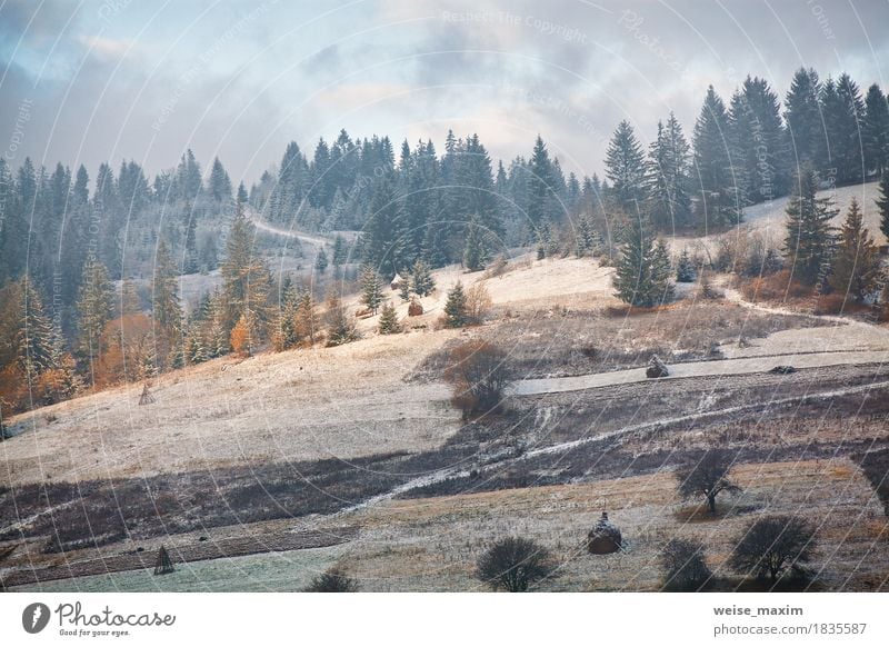 First snow on the mountains hills Vacation & Travel Tourism Trip Far-off places Freedom Winter Snow Mountain Hiking Environment Nature Landscape Plant Air Sky