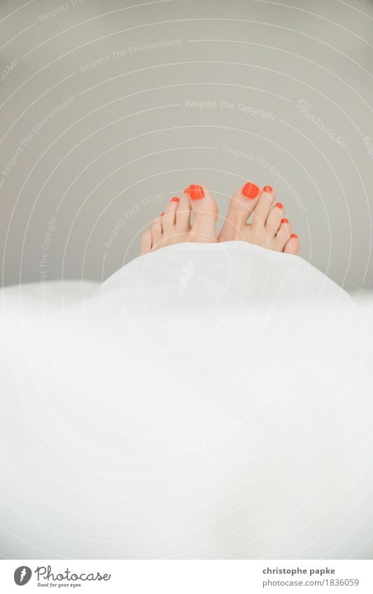 Peeping toes II Nail polish Well-being Relaxation Living or residing Flat (apartment) Bedroom Feminine Woman Adults Feet Toes Contentment Lie Duvet Beautiful