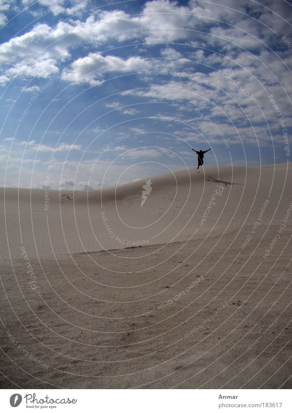 Flies? Colour photo Exterior shot Copy Space left Copy Space top Day Silhouette Long shot Full-length Joy Vacation & Travel Freedom Summer Beach Life 1