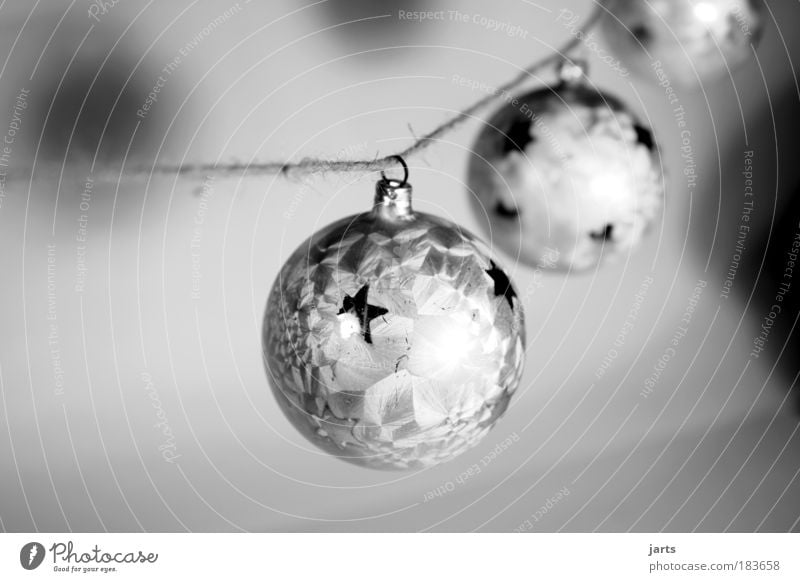 three before christmas Black & white photo Interior shot Studio shot Close-up Deserted Copy Space left Copy Space top Artificial light Flash photo Shadow