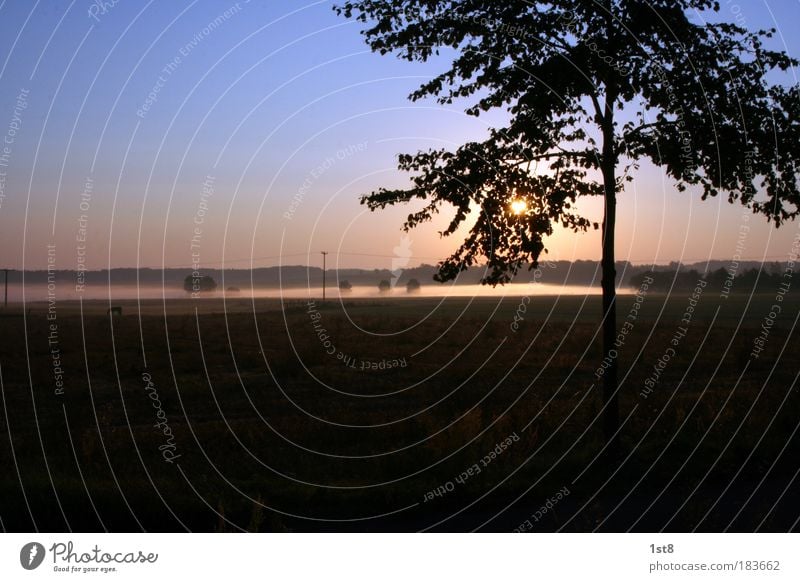 Prairie Nebula Colour photo Exterior shot Copy Space top Copy Space bottom Morning Dawn Twilight Sunlight Back-light Panorama (View) Nature Landscape Sky