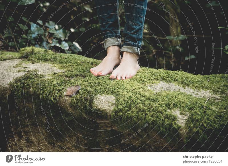 Walking like moss Vacation & Travel Trip Feminine Feet 1 Human being Nature Summer Tree Moss Soft Freedom Sustainability Barefoot Forest Woodground Forest walk