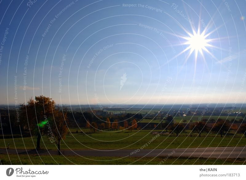 Autumn prospects Colour photo Multicoloured Exterior shot Copy Space top Neutral Background Day Light Contrast Sunlight Sunbeam Back-light Panorama (View)