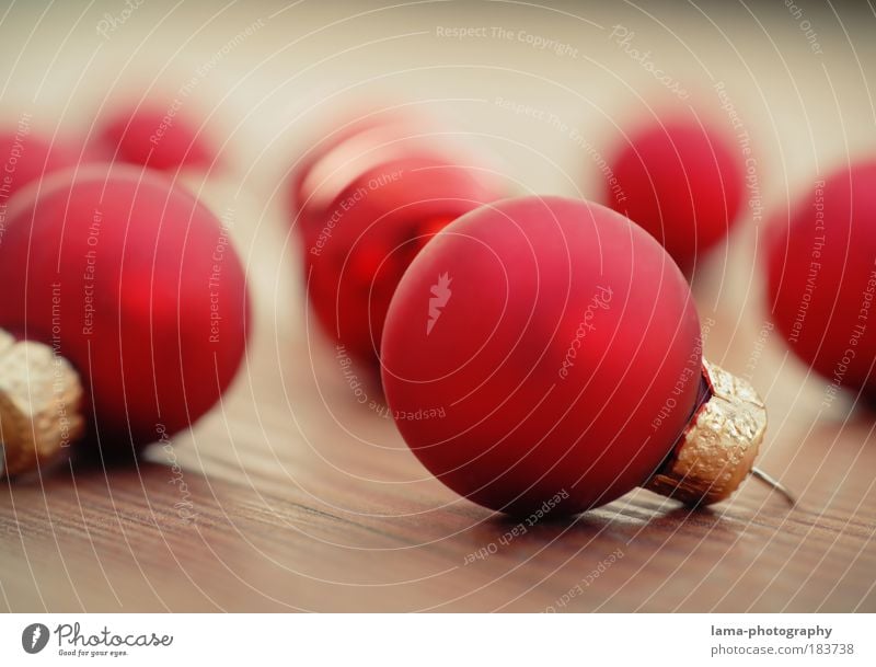 Christmassy decorative Colour photo Studio shot Close-up Detail Copy Space left Copy Space top Copy Space bottom Reflection Shallow depth of field