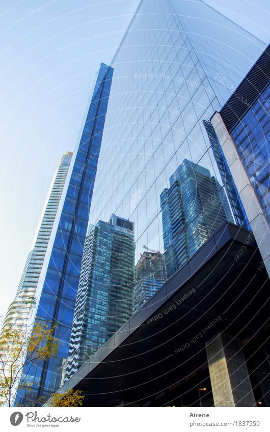 Symbols of Power I Canada Americas North America Town Downtown Skyline Deserted High-rise Facade Window Concrete Glass Esthetic Gigantic Glittering Infinity