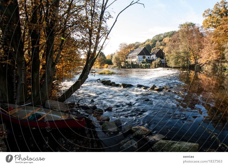 Old half-timbered house on the river with canoe in autumn Half-timbered house River Canoe Tree Aquatics Hiking Vacation & Travel Water Autumn Beautiful weather