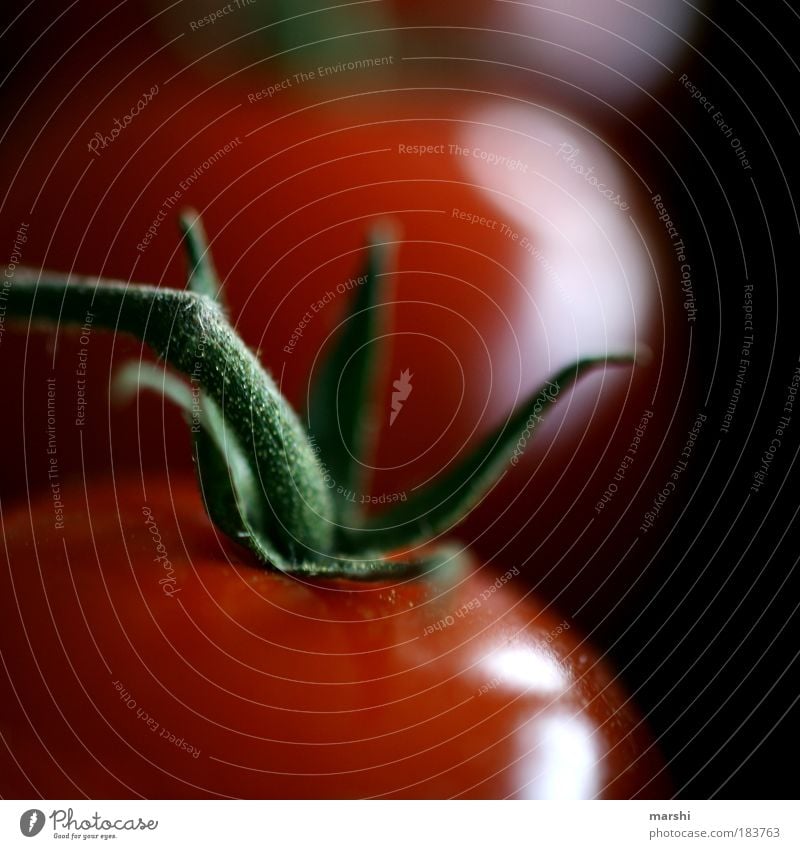 ketchup Colour photo Close-up Detail Macro (Extreme close-up) Food Vegetable Nutrition Organic produce Vegetarian diet Small Delicious Green Red Appetite