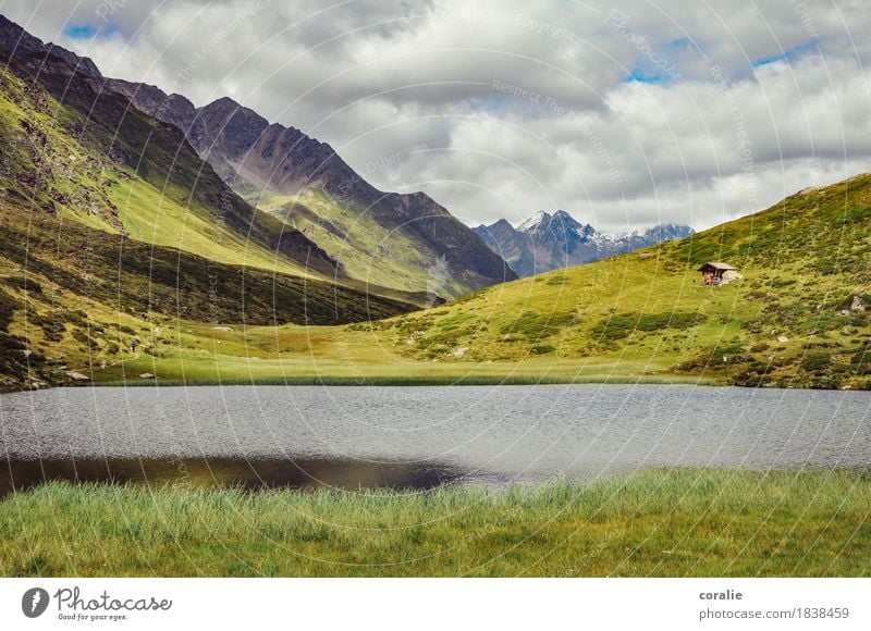 Heidiland Rock Alps Mountain Peak Snowcapped peak Glacier Homesickness Wanderlust Alpine hut South Tyrol Mountain lake Badlands Deserted Miracle of Nature