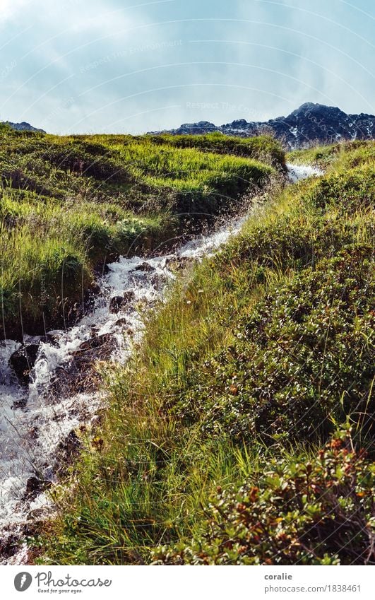 wanderlust Water Beautiful weather Meadow Alps Mountain Brook Natural Bubbling Splashing Slope Thaw Hiking South Tyrol Heidiland Vacation destination Fresh