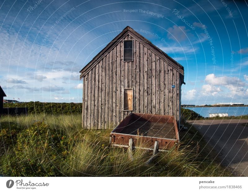 no fisk today Nature Landscape Elements Water Sky Autumn Beautiful weather Coast North Sea Port City Hut Authentic Broken Empty Trailer Wooden hut