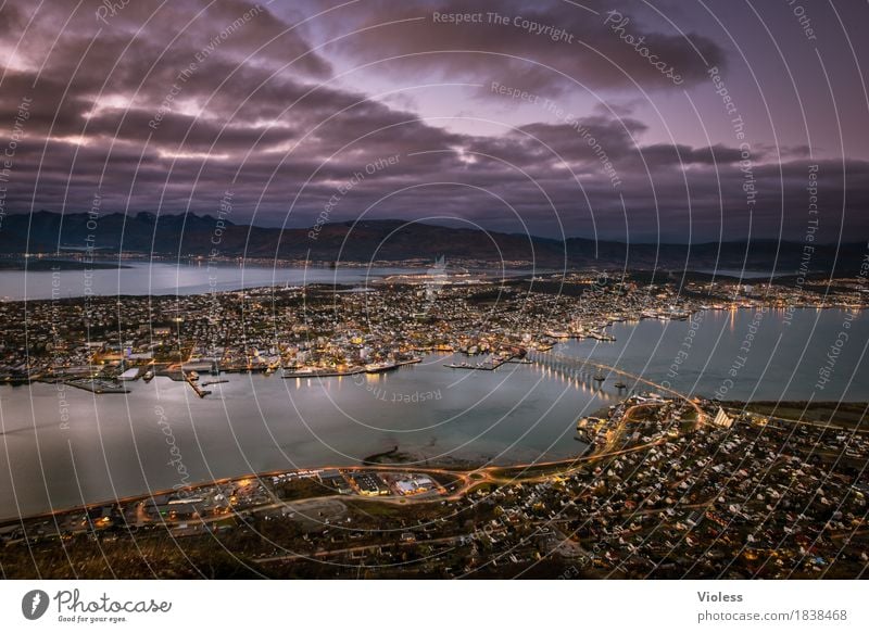 Tromsø Fjord North Sea Port City Bridge Navigation Discover Glittering Dark Historic Violet Norway Night shot Lighting mountain iron Cable car Twilight