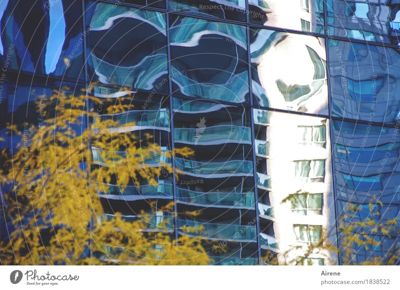 hallucination Tree Autumn leaves Town Downtown High-rise Facade Glass Exceptional Fantastic Tall Crazy Blue Yellow Bizarre Irritation Flatulence Distorted