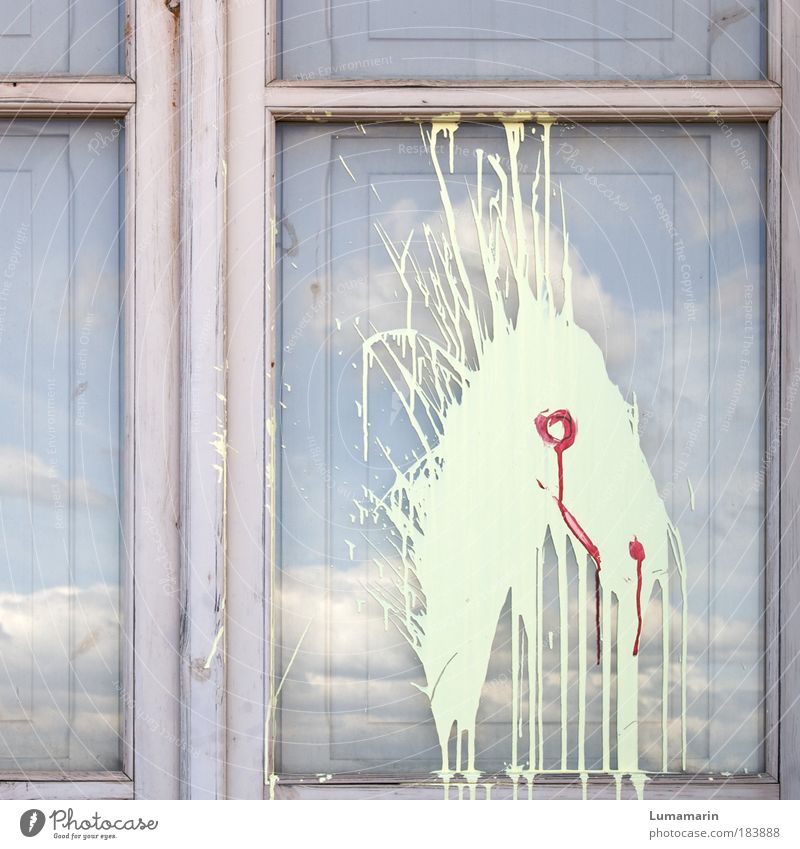 wild child Colour photo Subdued colour Exterior shot Deserted Sky Clouds House (Residential Structure) Window Animal Horse Dirty Free Rebellious Wild Anger Blue