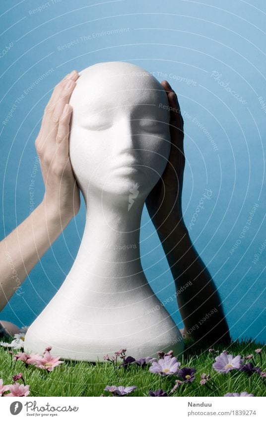 hear nothing Head Hand 1 Human being Fear of death deaf Keep sth. closed  Close Ignore Truth Styrofoam polystyrene head wig head wig holder Colour photo