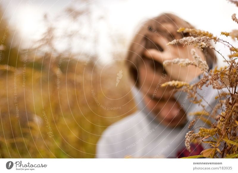 In the field Human being Masculine 1 18 - 30 years Youth (Young adults) Adults Environment Nature Plant Field Think Dream Sadness Brown Yellow Emotions Moody