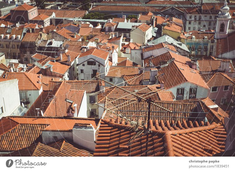 Well considered Vacation & Travel City trip Summer Summer vacation Lisbon Portugal Town Capital city Downtown Old town Deserted House (Residential Structure)