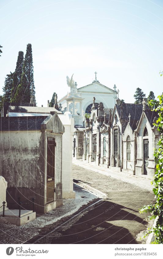 Cemetery of Joys Vacation & Travel Trip Sightseeing City trip Summer Summer vacation Architecture Lisbon Portugal Town Capital city Outskirts Deserted