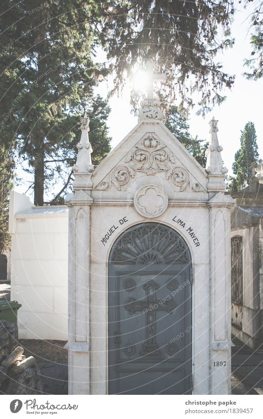 To the light Lisbon Town Capital city Downtown Manmade structures Building Old Bright Historic Beautiful Death Grave Tomb Cemetery Colour photo Exterior shot