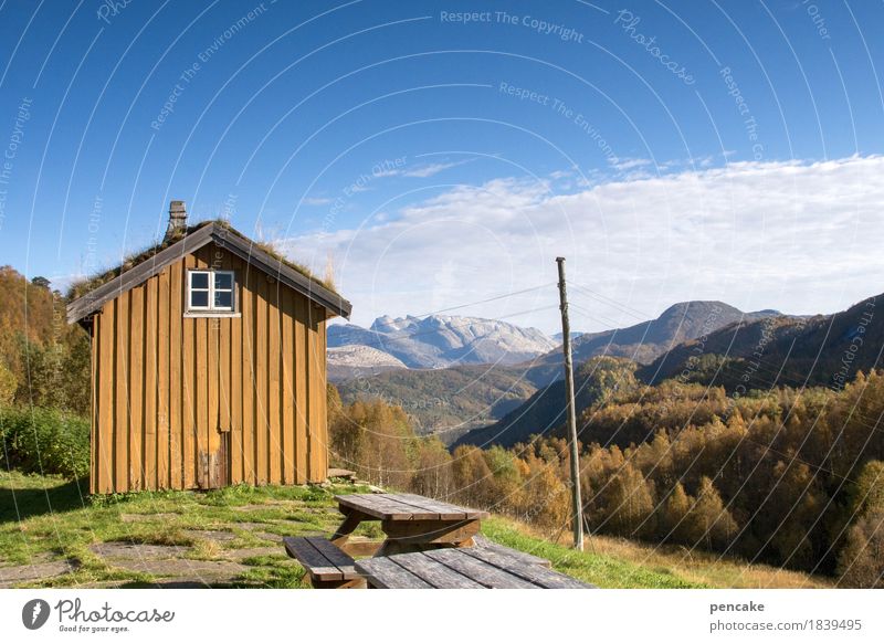 look into the country (1) Nature Landscape Autumn Mountain Deserted House (Residential Structure) Hut Uniqueness Retro Norway Alpine pasture Open-air museum