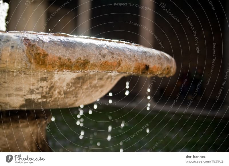 tocktock Colour photo Exterior shot Close-up Detail Deserted Day Blur Shallow depth of field Central perspective Art Museum Sculpture Water Drops of water Well