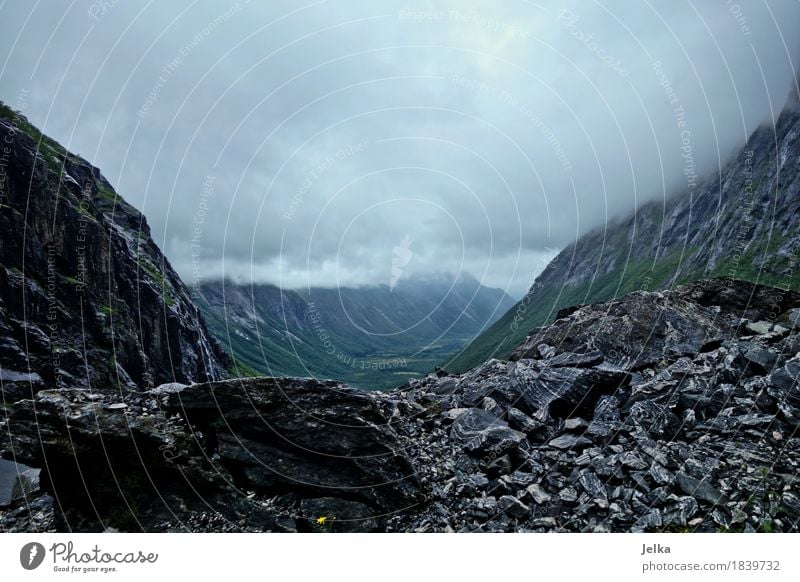 Norwegian Stones Nature Landscape Clouds Storm clouds Weather Bad weather Mountain trollindene Trollstigen Canyon Norway Europe Tourist Attraction Dark