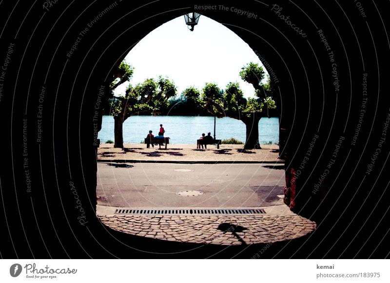 Gateway to the Rhine Colour photo Exterior shot Day Light Shadow Contrast Long shot 4 Human being Group Beautiful weather Tree River bank Water Small Town