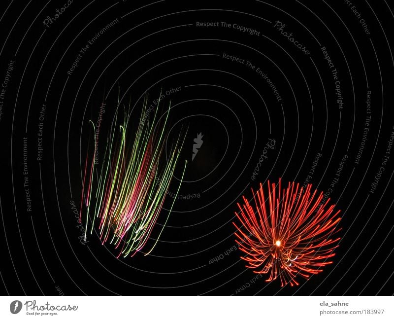 fireworks flower_2 Colour photo Multicoloured Aerial photograph Pattern Structures and shapes Night Long exposure Upward New Year's Eve Esthetic Bizarre Energy