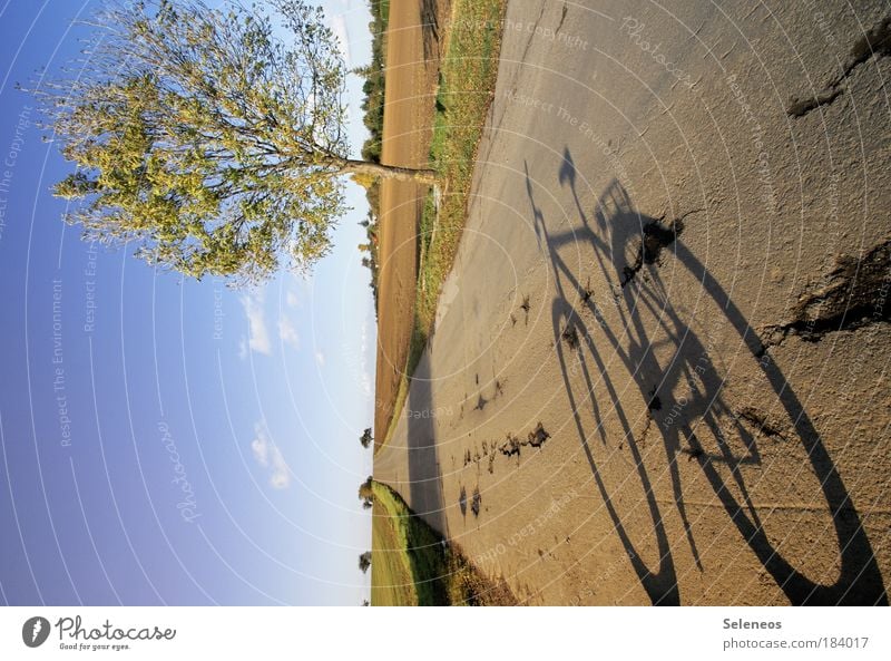 Traffic (t) Colour photo Exterior shot Deserted Copy Space left Day Shadow Contrast Light (Natural Phenomenon) Sunlight Leisure and hobbies Trip Cycling