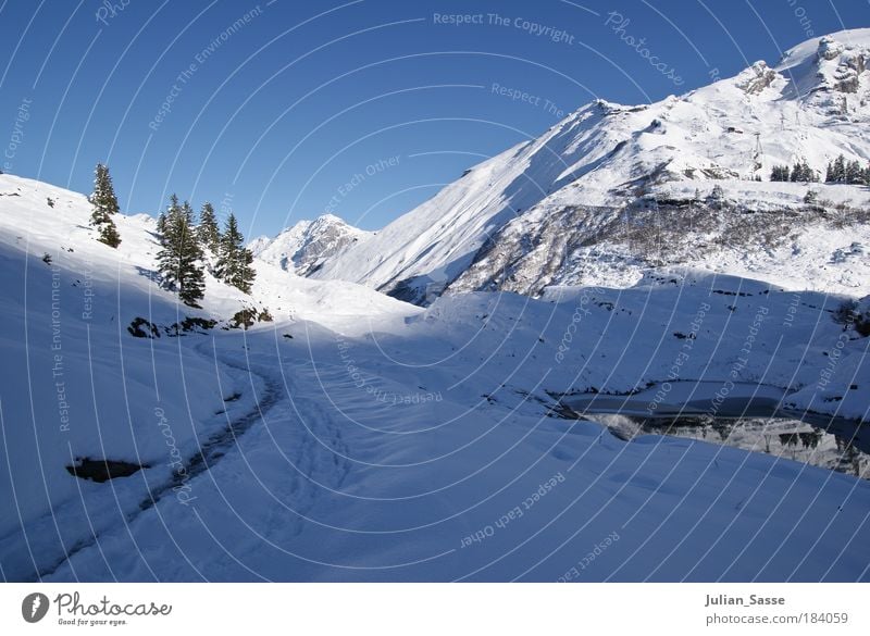 Winter in the mountains Exterior shot Environment Landscape Esthetic Snow Mountain Switzerland Engelberg Shadow Sun Blue sky Fir tree Lake Water Gorgeous