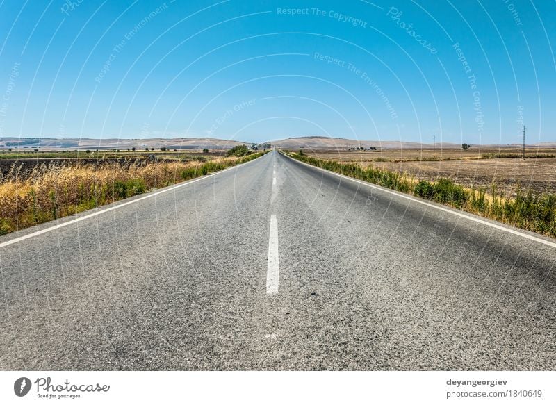 Long asphalt road Vacation & Travel Trip Freedom Summer Nature Landscape Sky Horizon Tree Grass Forest Transport Street Line Movement Speed Blue Green