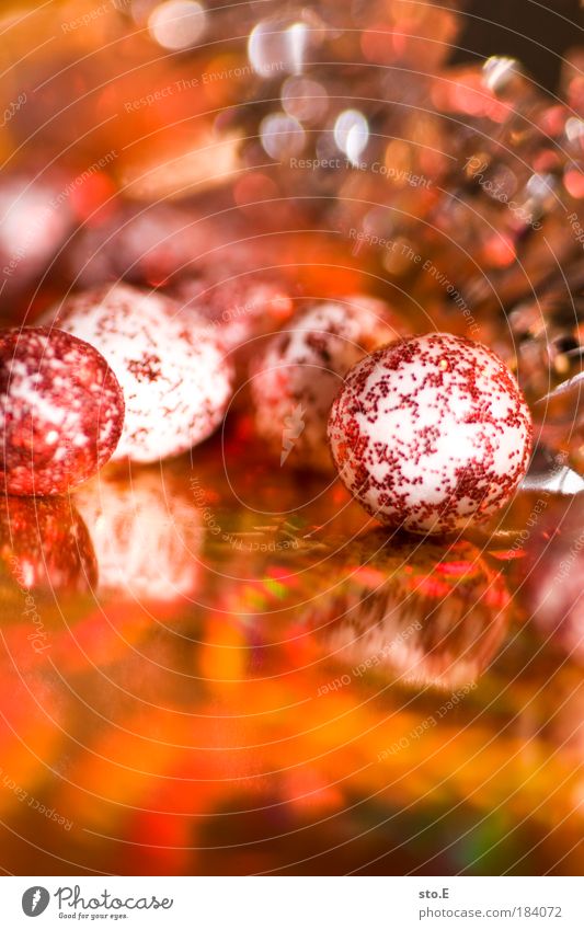 christmas decoration Colour photo Multicoloured Interior shot Close-up Detail Macro (Extreme close-up) Artificial light Flash photo Light Sign Sphere Joy