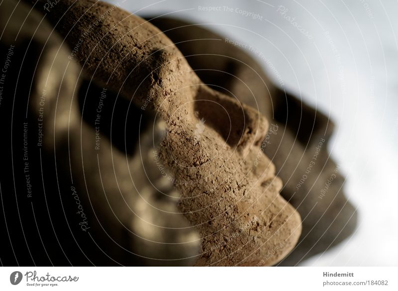 in line Colour photo Subdued colour Interior shot Neutral Background Flash photo Shadow Contrast Silhouette Shallow depth of field Profile Forward Head Face