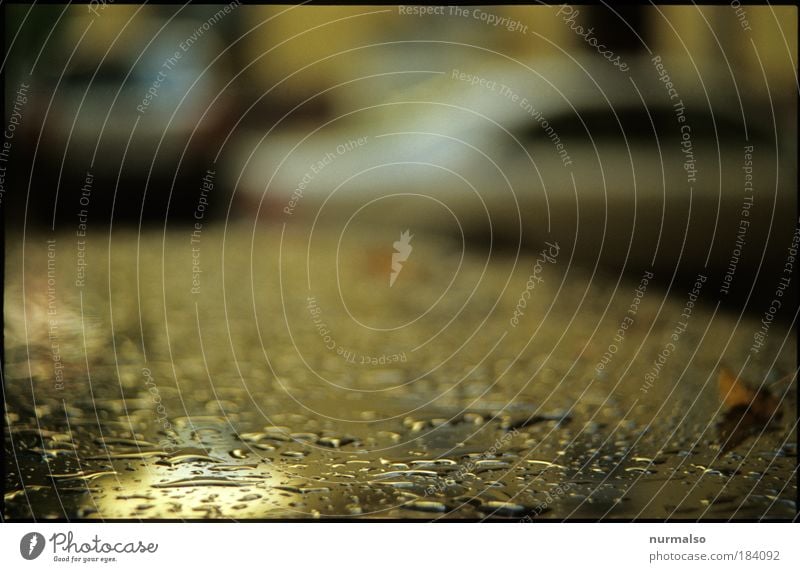 602, Weather residue Colour photo Abstract Structures and shapes Morning Blur Motorsports Art Environment Nature Autumn Climate Bad weather Storm Rain Deserted