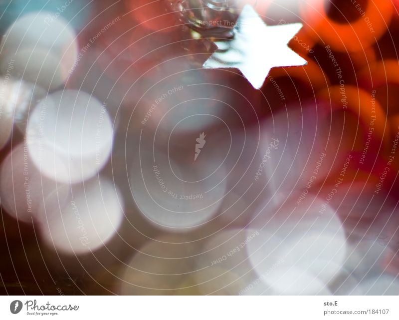 deco Colour photo Multicoloured Interior shot Close-up Detail Macro (Extreme close-up) Abstract Pattern Artificial light Flash photo Light Shadow Contrast