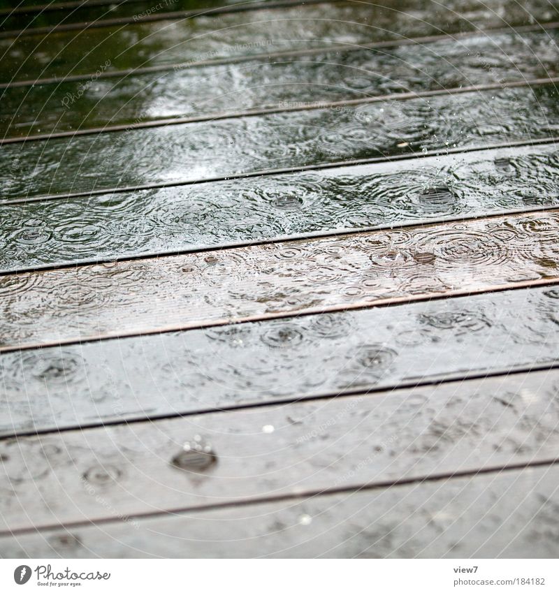 three days rainy weather Subdued colour Exterior shot Detail Deserted Shallow depth of field Bird's-eye view Environment Nature Elements Water Drops of water