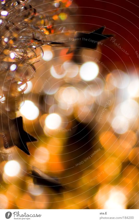 christmas decoration Colour photo Multicoloured Interior shot Close-up Detail Macro (Extreme close-up) Artificial light Flash photo Light Shadow Contrast