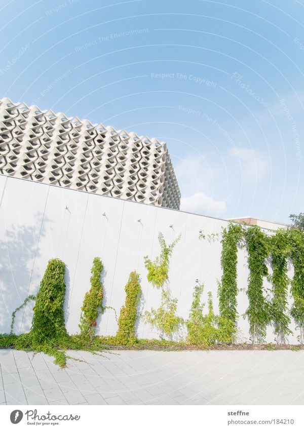 Summer in the city Colour photo Exterior shot Deserted Copy Space top Copy Space bottom Wide angle Chemnitz Town Building Wall (barrier) Wall (building) Facade