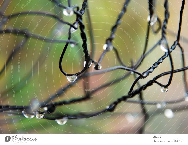 groups Colour photo Multicoloured Exterior shot Close-up Detail Macro (Extreme close-up) Copy Space left Copy Space bottom Dawn Day Reflection