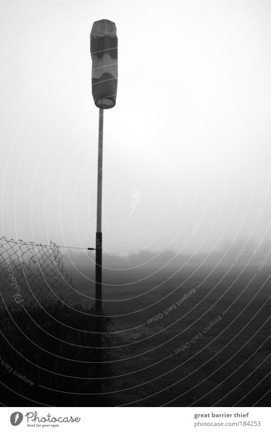 Air out Black & white photo Exterior shot Close-up Day Contrast Sunlight Sunbeam Environment Nature Landscape Sky Autumn Climate Weather Wind Fog Ice Frost Wait