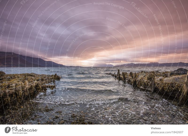 way out.... Environment Nature Landscape Sky Clouds Autumn Weather Mountain Canyon River bank North Sea Breathe Relaxation Fantastic Norway Fjord Calm Stone