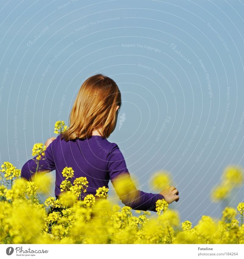 summer delights Colour photo Multicoloured Exterior shot Copy Space right Copy Space top Day Light Sunlight Upper body Rear view Human being Child Girl Head