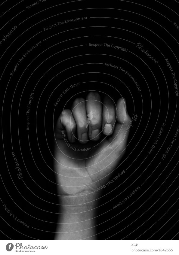 knock knock Skin Feminine Hand Fingers Touch Threat Dark Creepy Power Determination Animosity Fist Knock Fingernail Force Black & white photo Detail